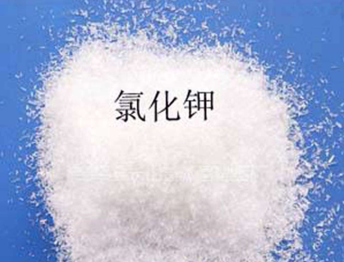 優質小黄片APP下载观看